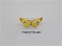 藏品(尺蛾319)的圖片